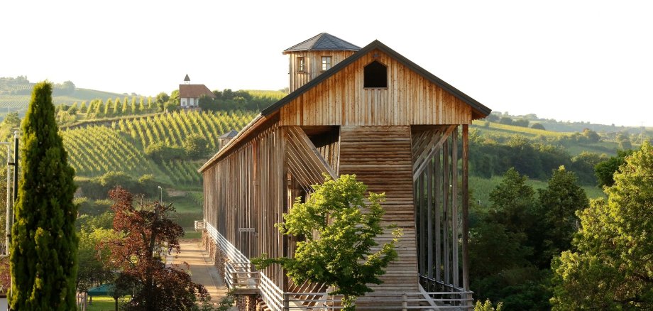 Gradierbau in Bad Dürkheim mit Weinbergen