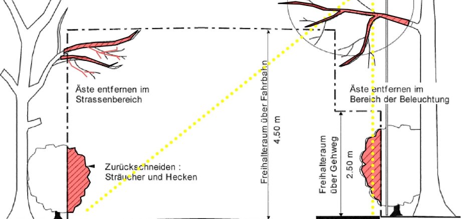 Anleitung zur Pflege der Grünanlagen | Rückschnitt