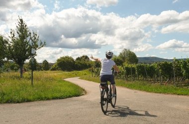 Eine Radfahrerin auf einem Radweg durch die Weinberge, ist mit dem Rücken zu uns gewandt auf dem Fahrrad und deutet auf eine Radwegbeschilderung.