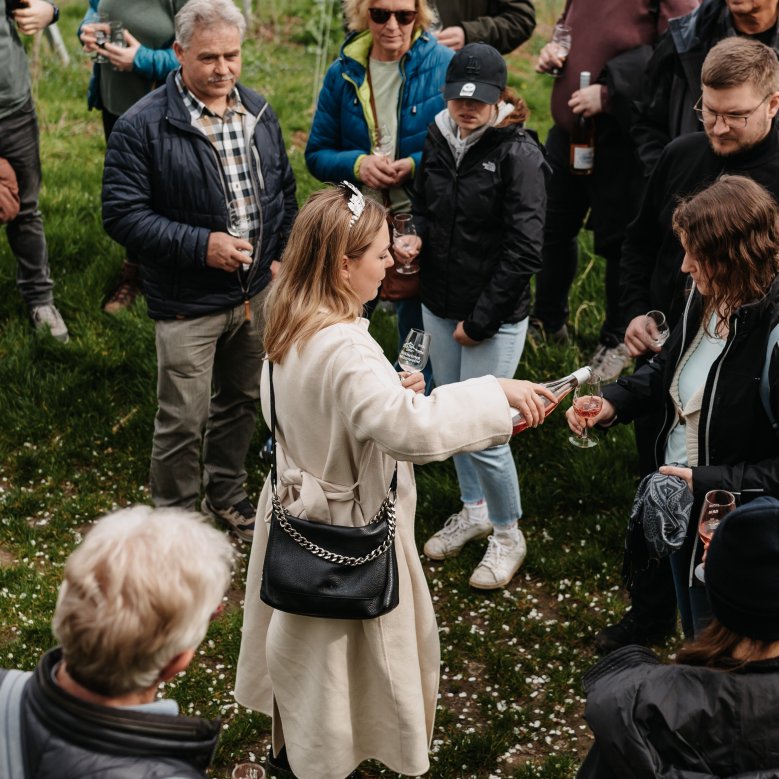 Gästeführung "Hoheitliche Weinwanderung"